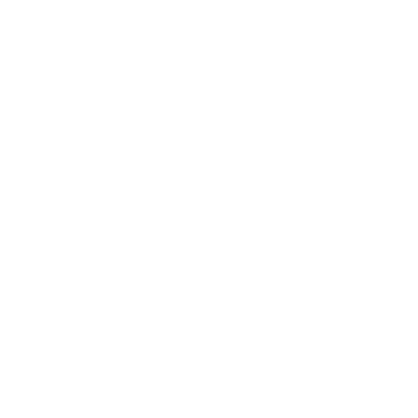 Partner logo 19