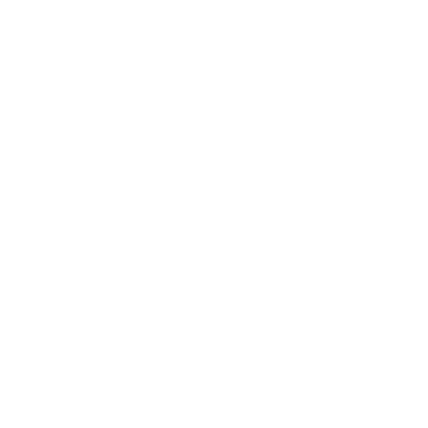 Partner logo 21