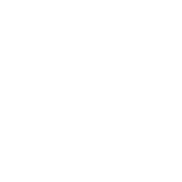 Partner logo 27
