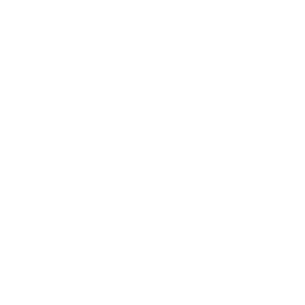 Partner logo 13