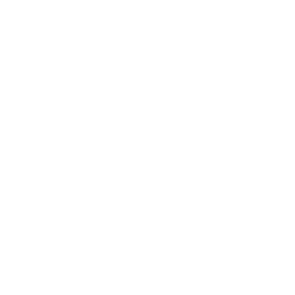 Partner logo 30
